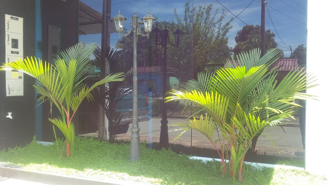 Hotel Palma Roja Granada  Exterior photo